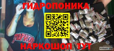 гашик Новозыбков