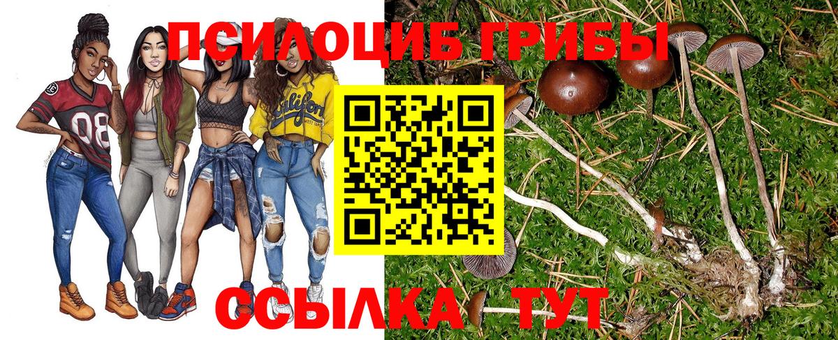 Галлюциногенные грибы Magic Shrooms Родники