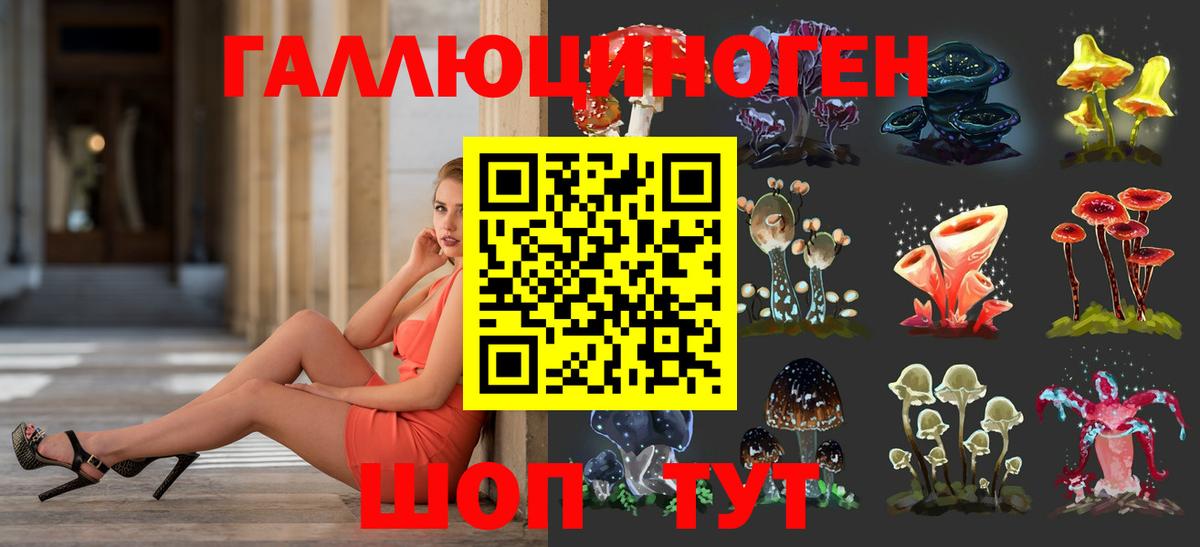 Галлюциногенные грибы Psilocybine cubensis  Вход с VPN  Родники 